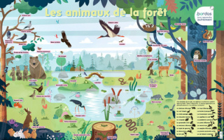 Les Posters Phosphorescents - Les Animaux de la forêt