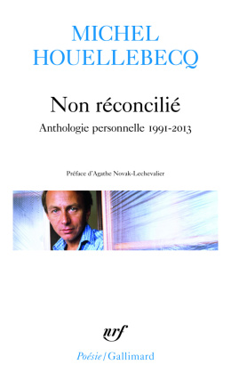 Non réconcilié Anthologie personnelle 1991-2013