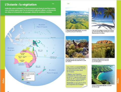 Dictionnaire Larousse poche junior