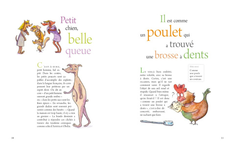 Du coq à l'âne - Les expressions les plus savoureuses de la langue française