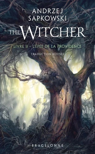 Sorceleur The Witcher Tome 2 : L'épée de la providence